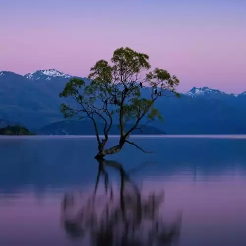 域名暂时迁至 blog.vind.ink